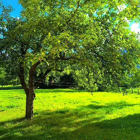 Holiday home Cozy House In The Nature *