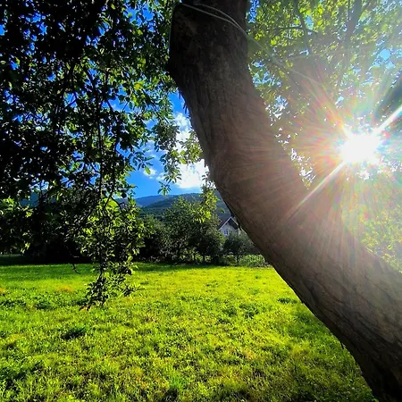 Tatil Evi Cozy House In The Nature Jajce